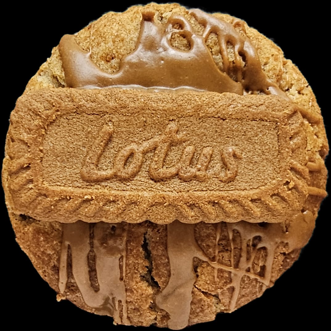 Lotus Love 6 Stück - Oh Crumble - #tag1#